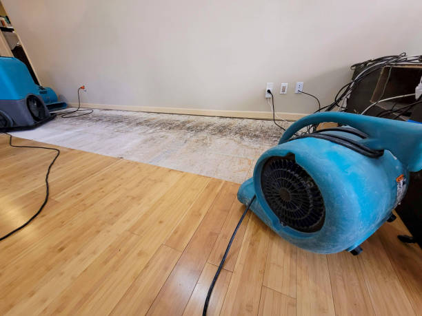 Professional Flood Damage Cleanup technician working in Congers, NY